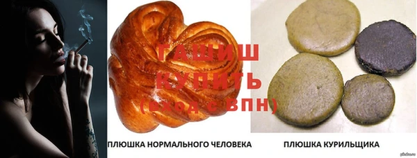 твердый Козельск