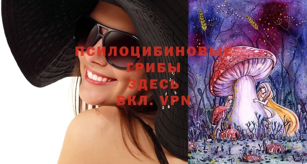 твердый Козельск