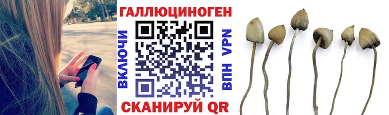 Купить закладки  Ефремов  Псилоцибиновые грибы прущие грибы 